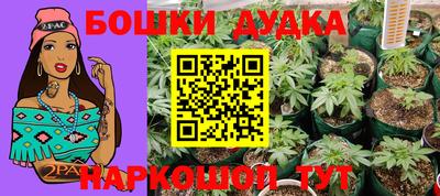 ПСИЛОЦИБИНОВЫЕ ГРИБЫ Кулебаки